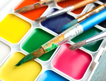 Photo of Different paint brushes on watercolor palette, closeup