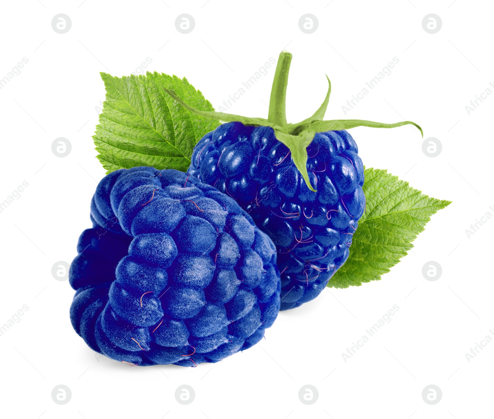 Image of Fresh blue raspberries and green leaves isolated on white