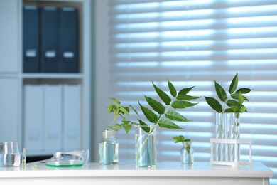 Photo of Laboratory glassware with plants on white table, toned in blue