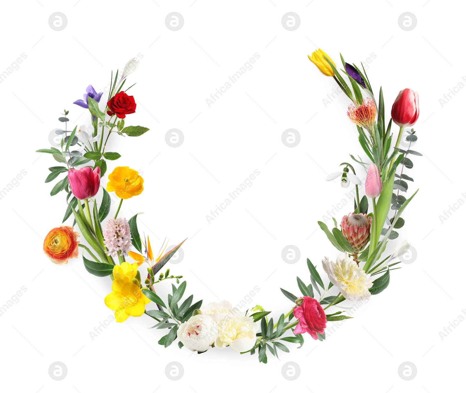 Image of Wreath made of beautiful flowers on white background