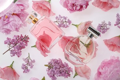 Luxury perfumes on spring floral decor, top view