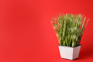 Photo of Beautiful artificial plant in flower pot on red background, space for text