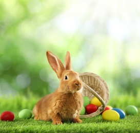 Image of Cute bunny and colorful Easter eggs on green grass outdoors