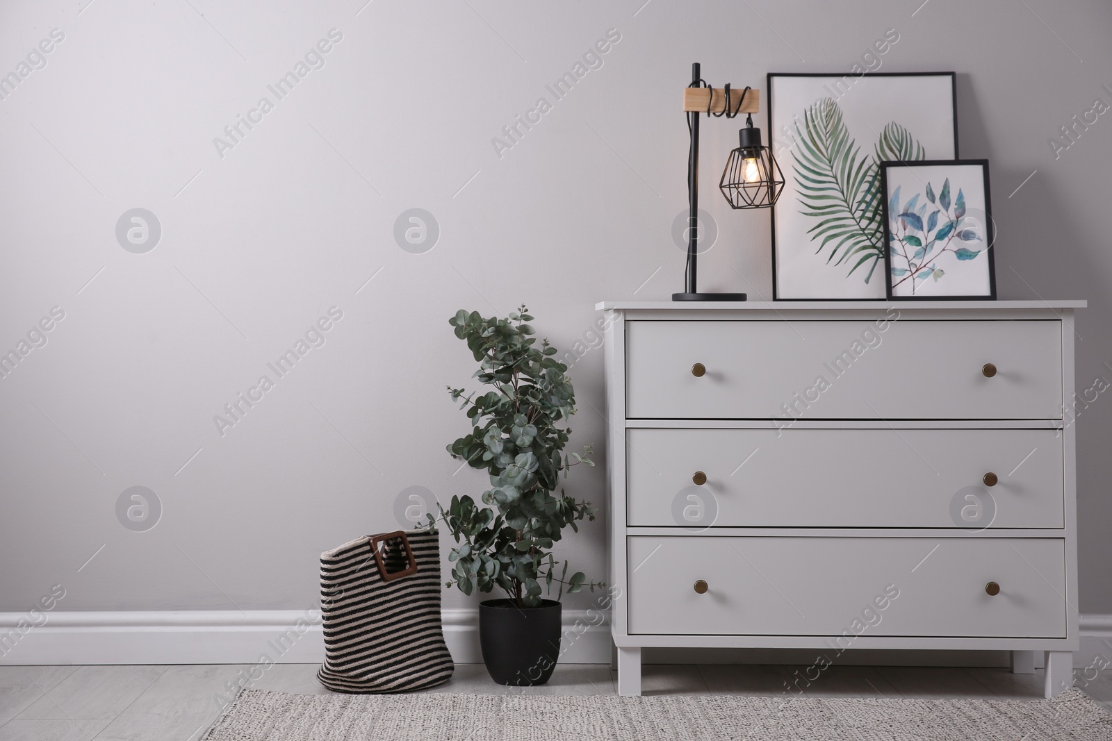 Photo of Stylish room interior with chest of drawers and green eucalyptus tree, space for text
