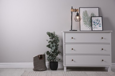 Stylish room interior with chest of drawers and green eucalyptus tree, space for text