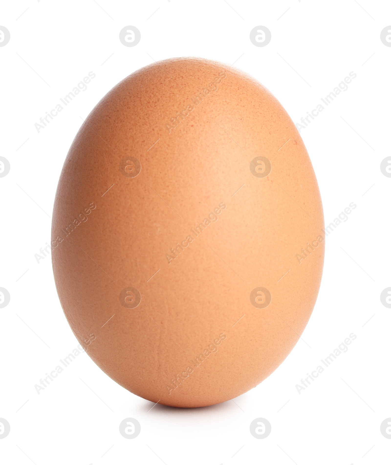 Photo of One raw chicken egg isolated on white