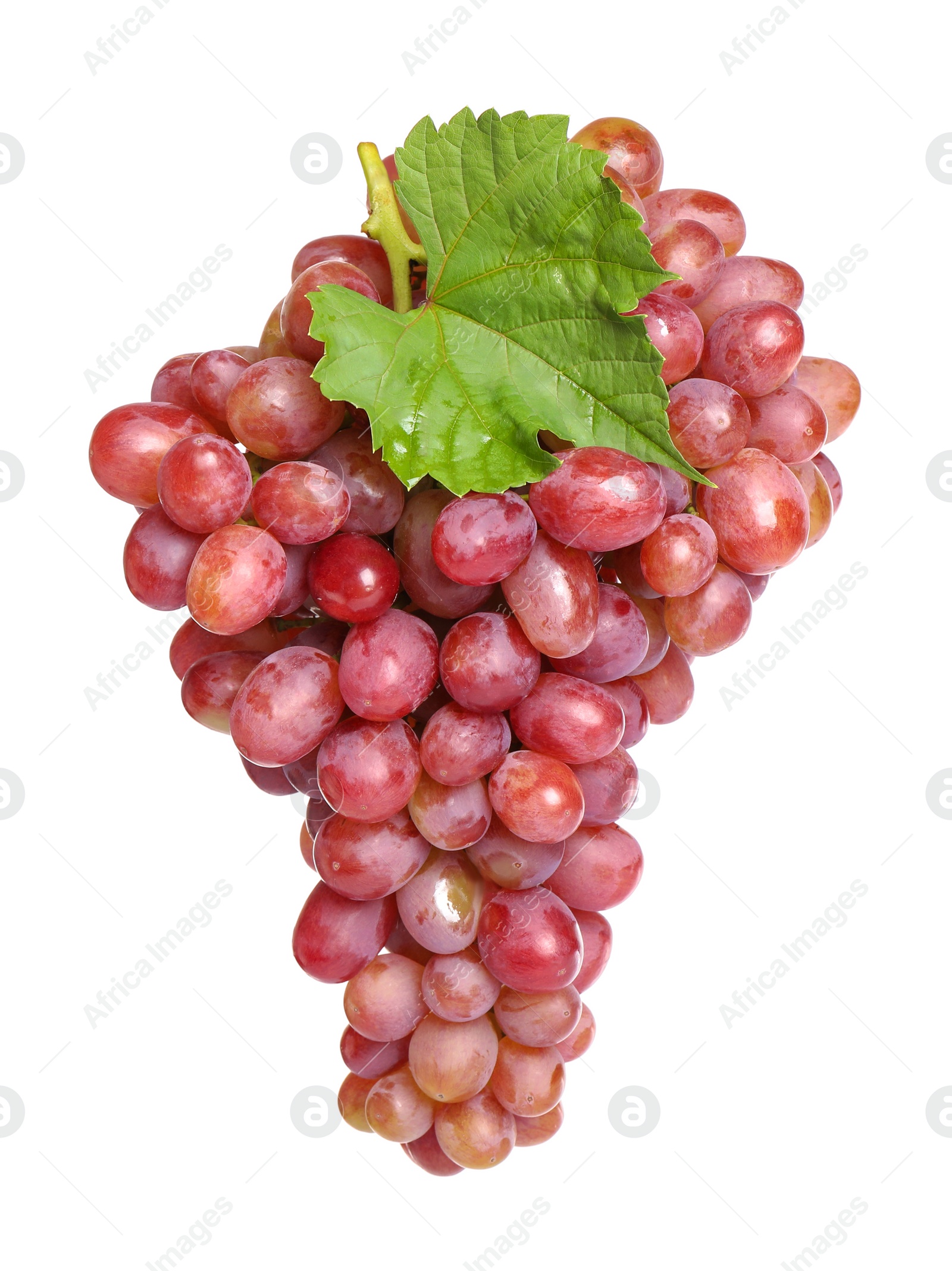 Photo of Bunch of fresh ripe juicy grapes isolated on white