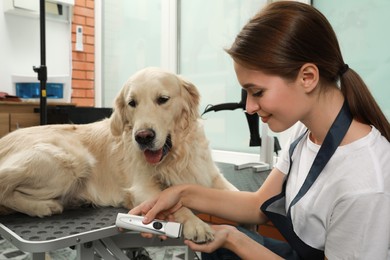 Photo of Professional groomer working with cute dog in pet beauty salon