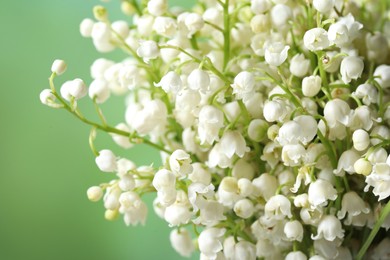 Beautiful lily of the valley flowers on blurred green background, closeup