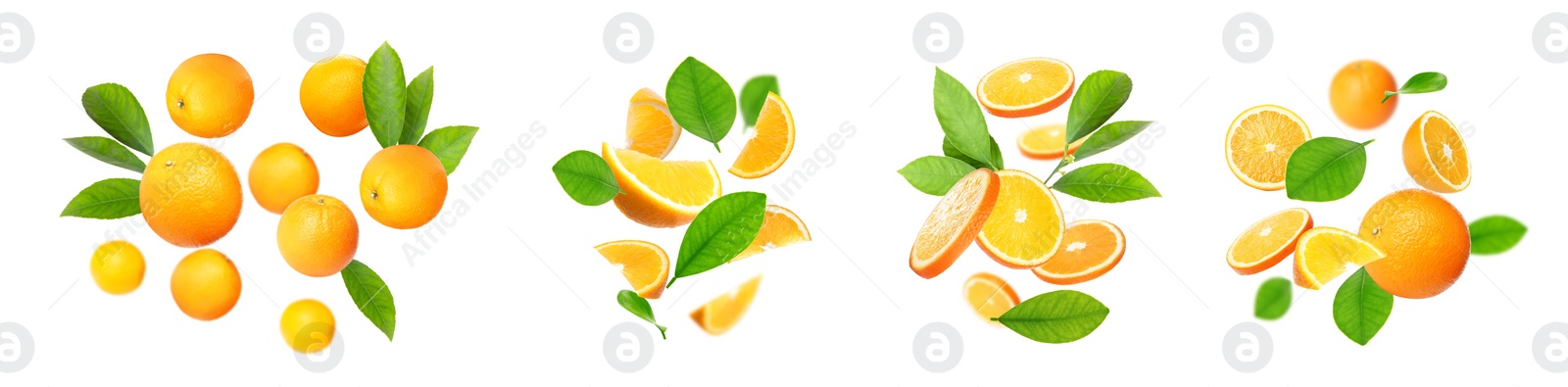 Image of Set of cut and whole oranges with green leaves flying on white background