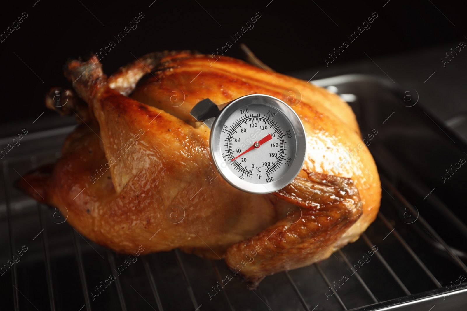 Photo of Roasted turkey with meat thermometer on baking rack