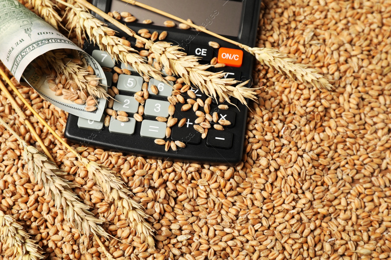 Photo of Dollar banknote, calculator and wheat ears on grains, closeup. Agricultural business