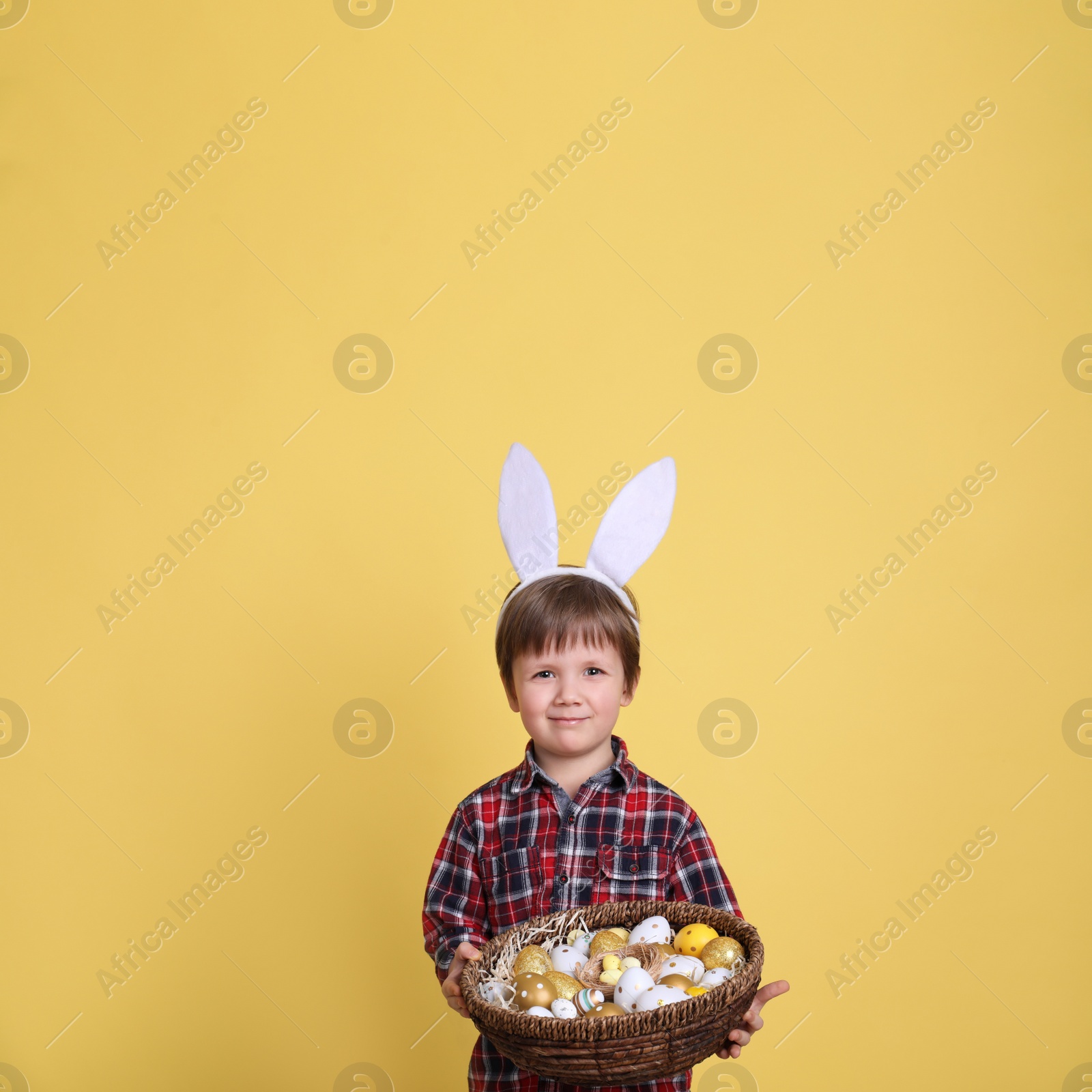 Photo of Cute little boy wearing bunny ears with basket full of dyed Easter eggs on yellow background