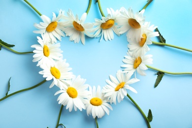 Heart made of beautiful chamomile flowers on blue background, flat lay. Space for text