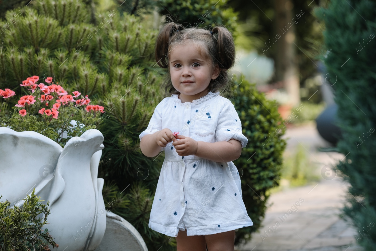 Photo of Cute little girl near plants in park