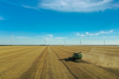 Modern combine harvester working in field on sunny day. Agriculture industry