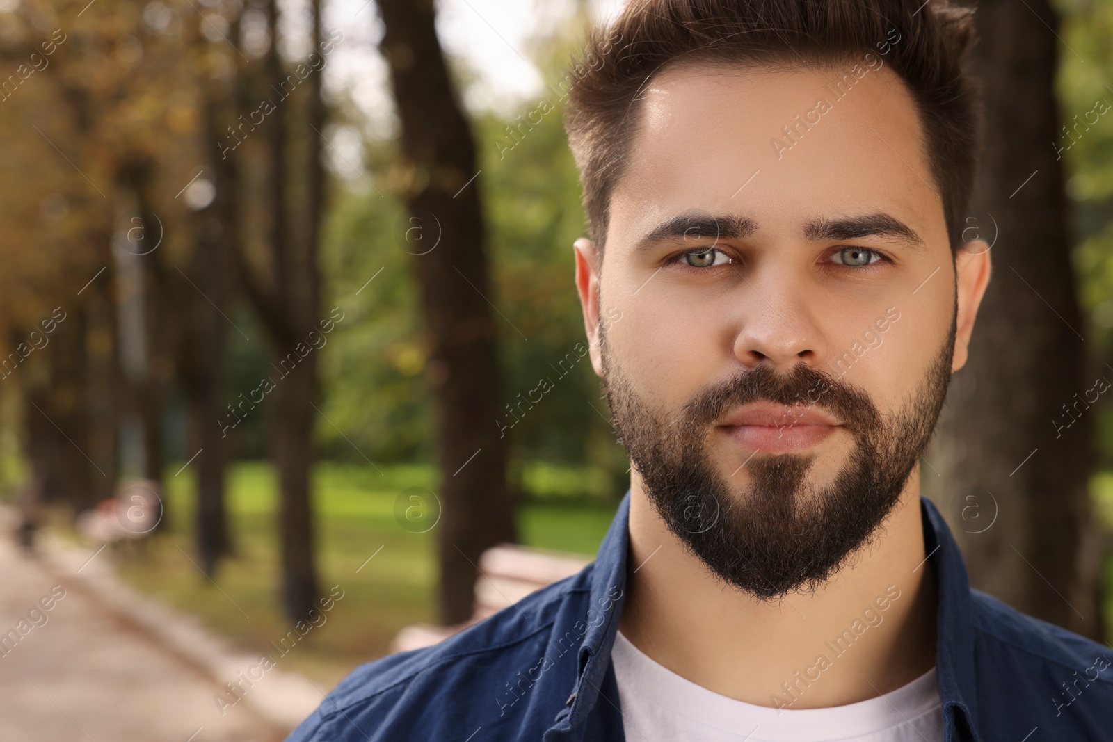 Photo of Portrait of handsome young man in park. Space for text