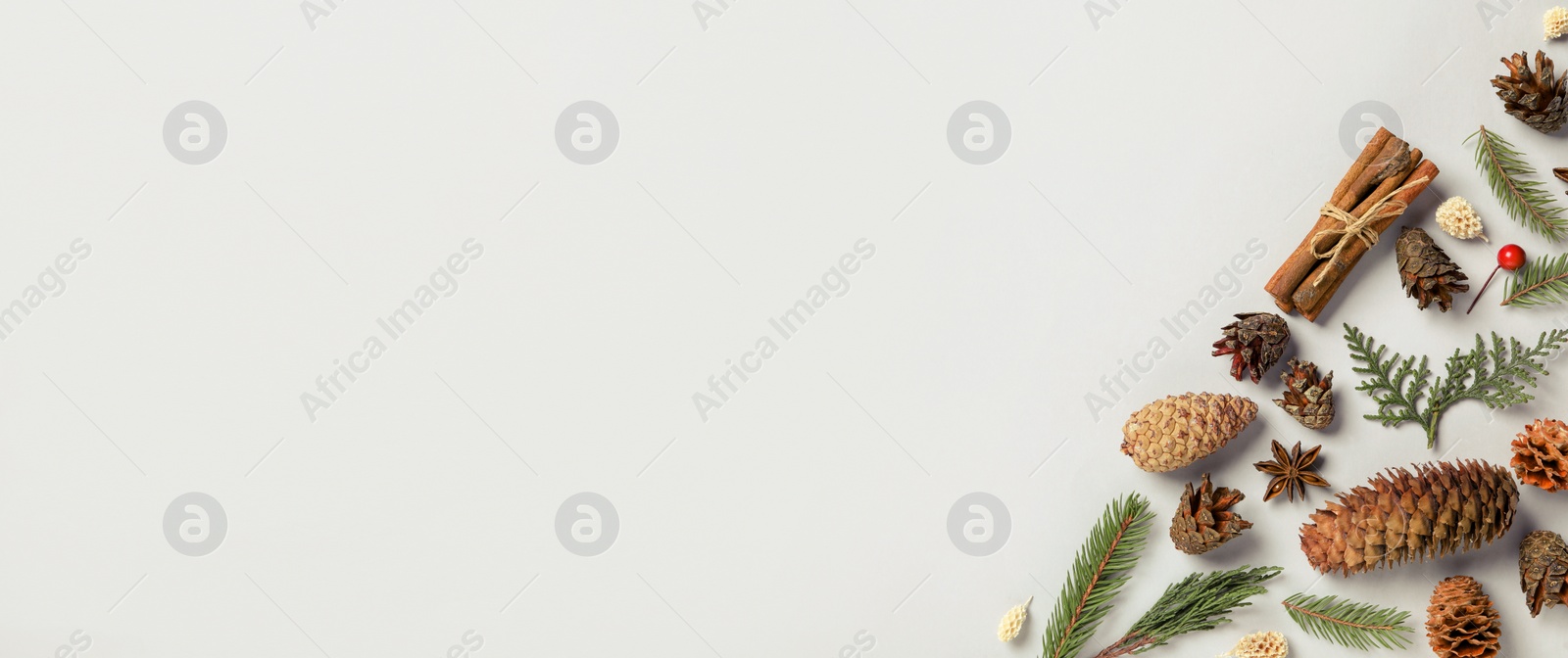 Image of Flat lay composition with pinecones on white background, space for text. Horizontal banner design