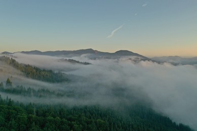 Photo of Aerial view of beautiful mountains and conifer trees on foggy morning