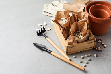 Photo of Different vegetable seeds and gardening tools on light grey table