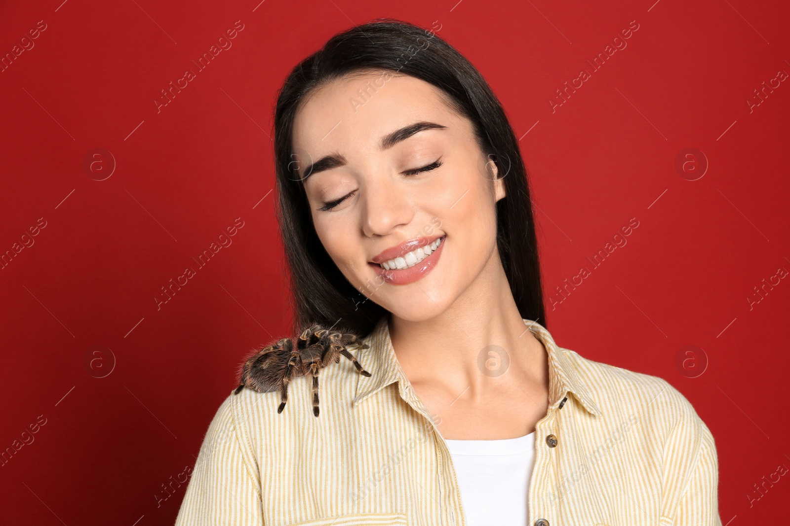 Photo of Woman with striped knee tarantula on red background. Exotic pet