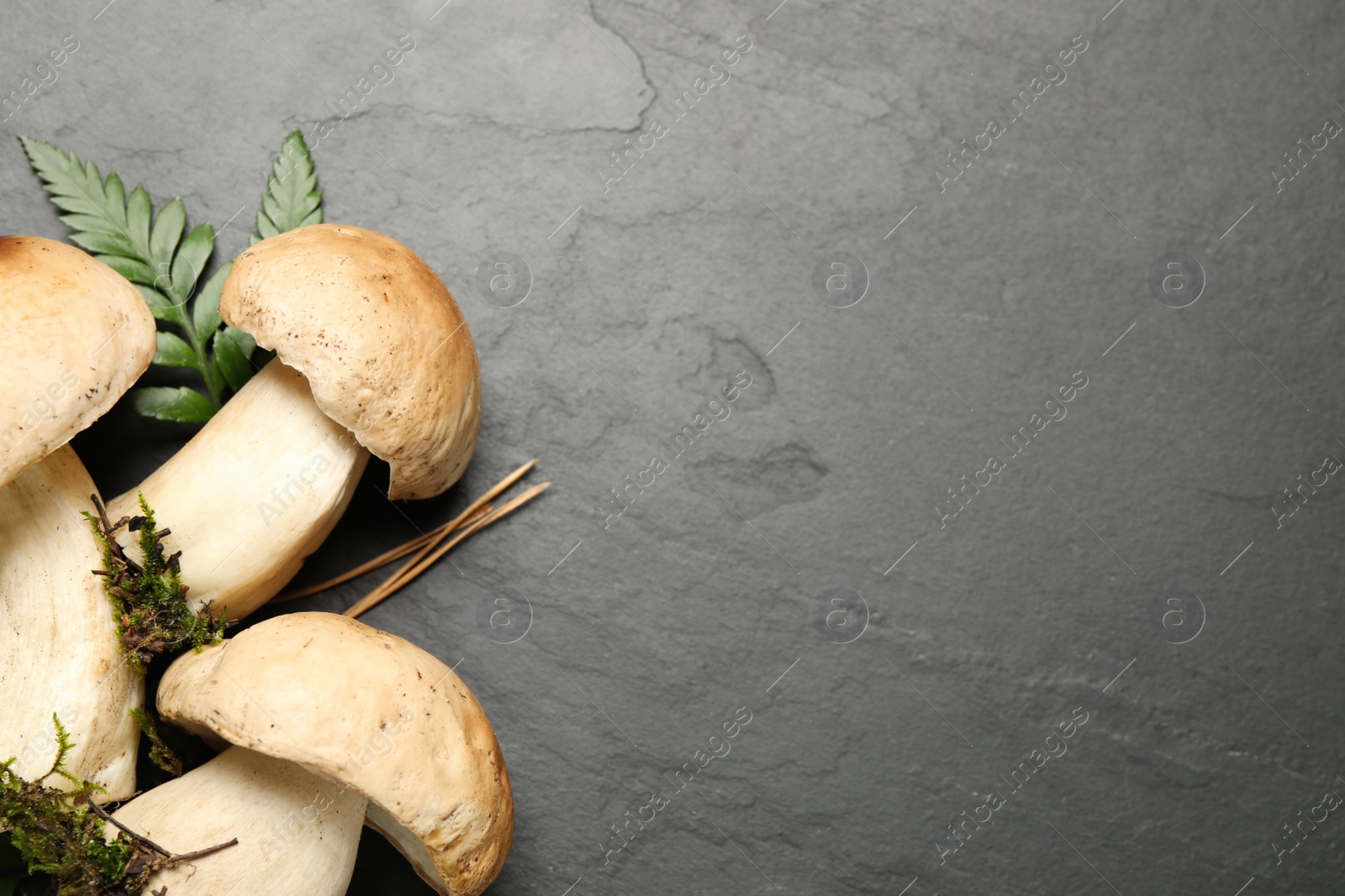 Photo of Flat lay composition with porcini mushrooms on grey background, space for text