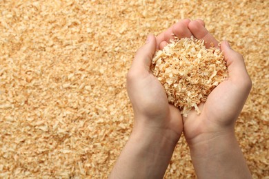 Photo of Woman holding dry natural sawdust, top view