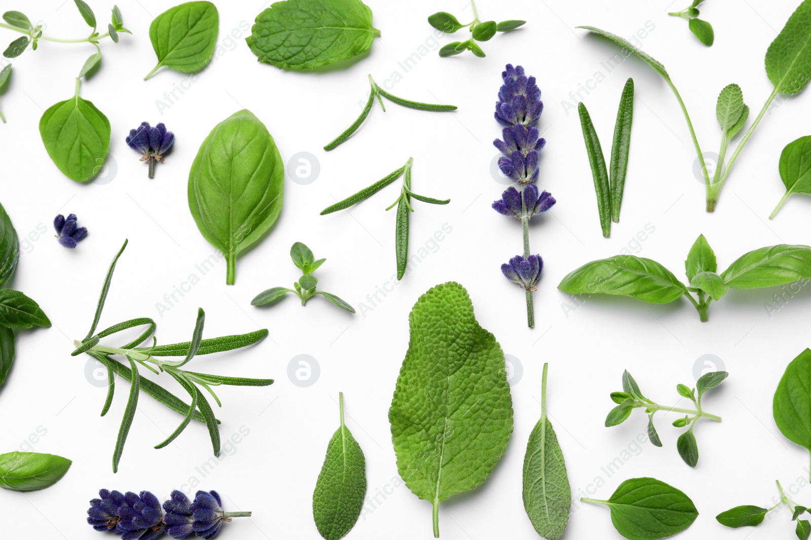 Photo of Many different aromatic herbs on white background, flat lay