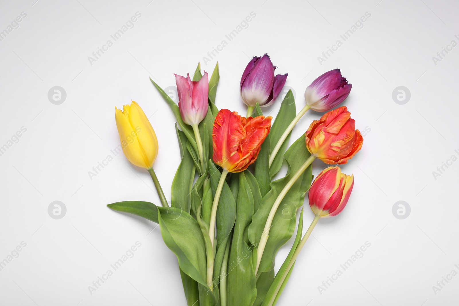 Photo of Beautiful colorful tulip flowers on white background, flat lay