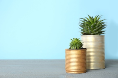 Beautiful houseplants in tin cans on grey wooden table. Space for text