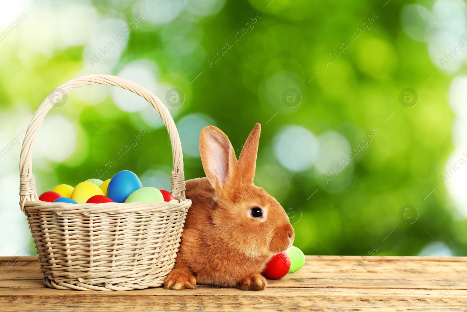 Image of Adorable bunny and wicker basket with Easter eggs on wooden surface outdoors, space for text 