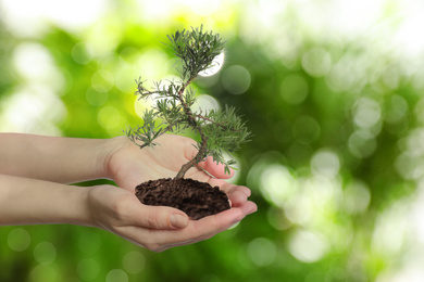 Image of Woman holding small tree in soil on blurred green background, closeup. Ecology protection
