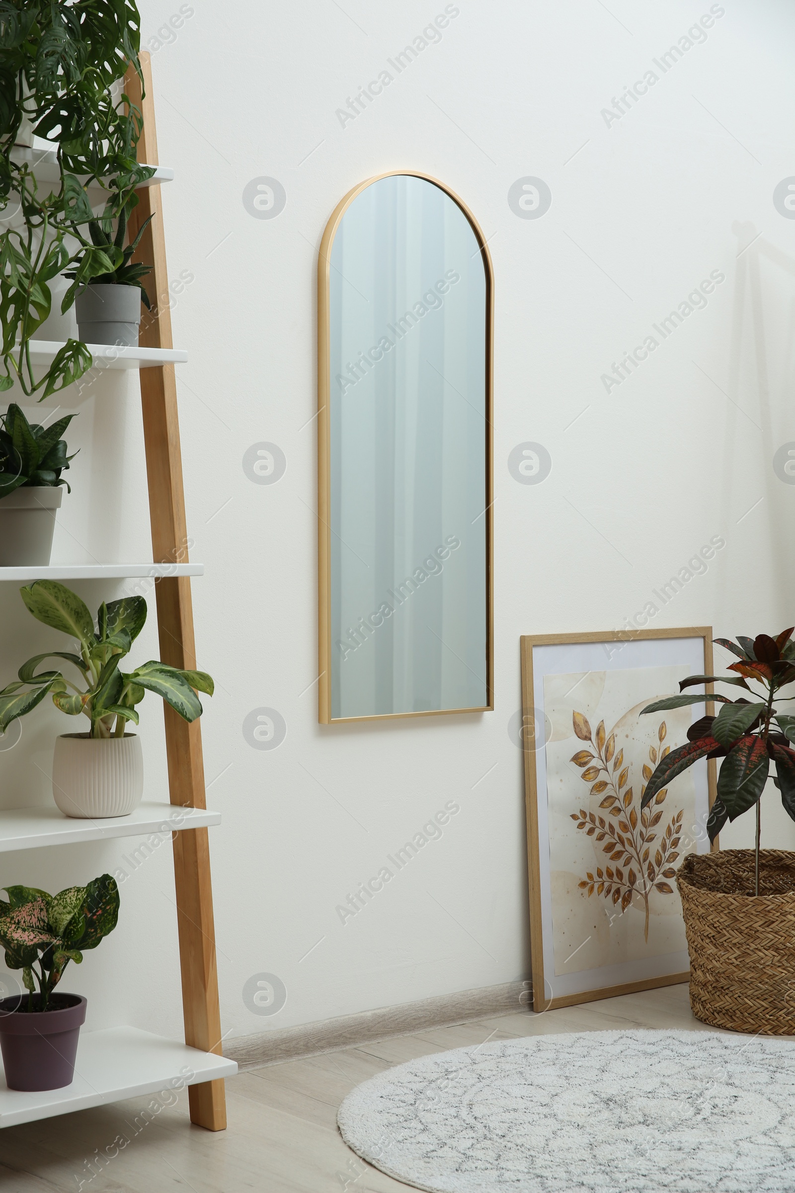 Photo of Interior accessories. Mirror, picture and shelving unit with houseplant near white wall in room