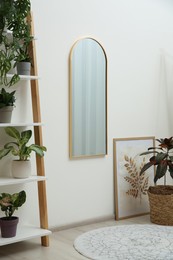 Photo of Interior accessories. Mirror, picture and shelving unit with houseplant near white wall in room