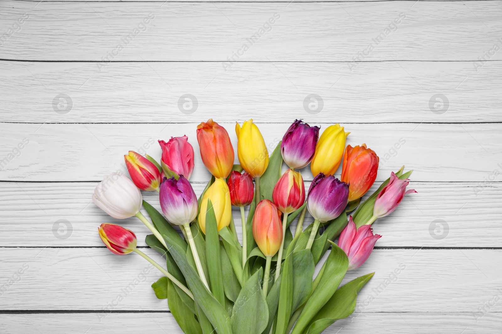 Photo of Beautiful colorful tulip flowers on white wooden table, top view