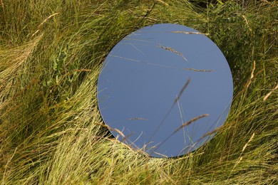 Spring atmosphere. Round mirror among grass and spikelets on sunny day. Space for text