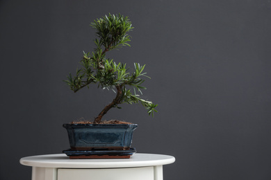 Japanese bonsai plant on white table, space for text. Creating zen atmosphere at home