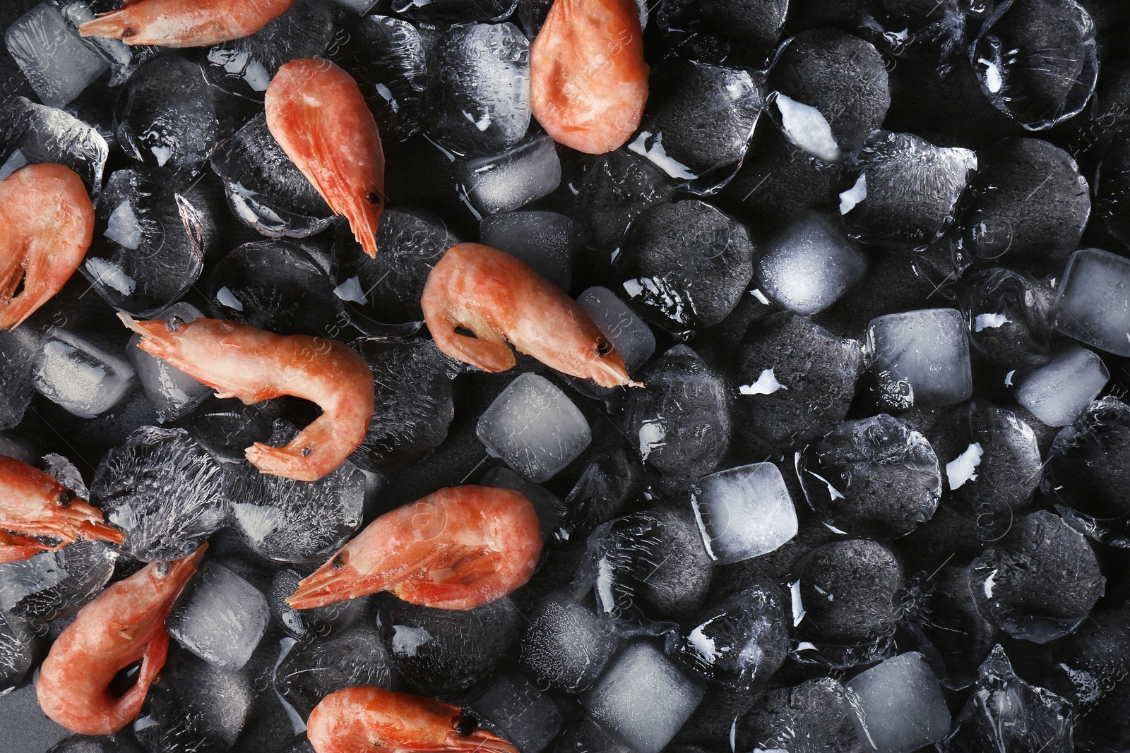 Photo of Flat lay composition with shrimps and ice cubes on dark background