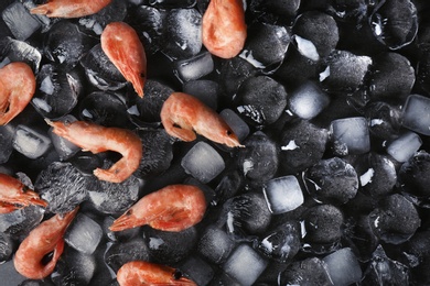 Photo of Flat lay composition with shrimps and ice cubes on dark background