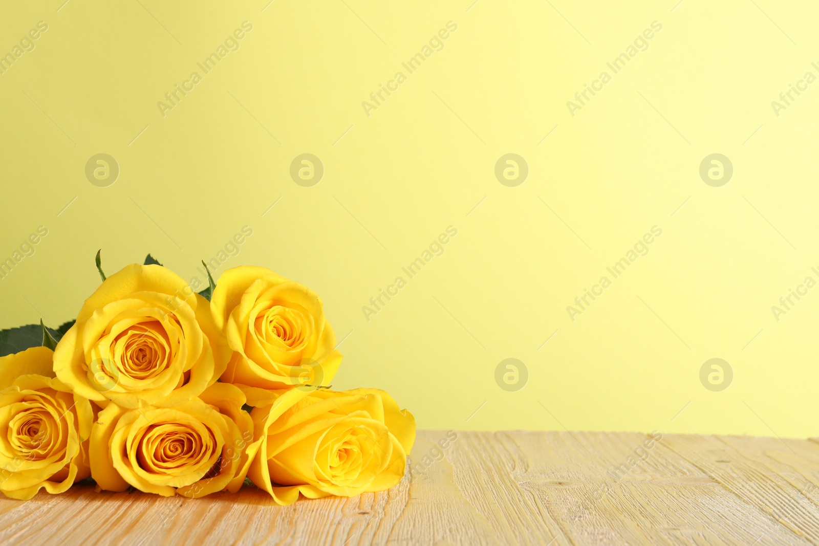 Photo of Beautiful fresh roses on wooden table against yellow background. Space for text