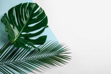 Beautiful monstera and palm leaves on color background, flat lay with space for text. Tropical plants