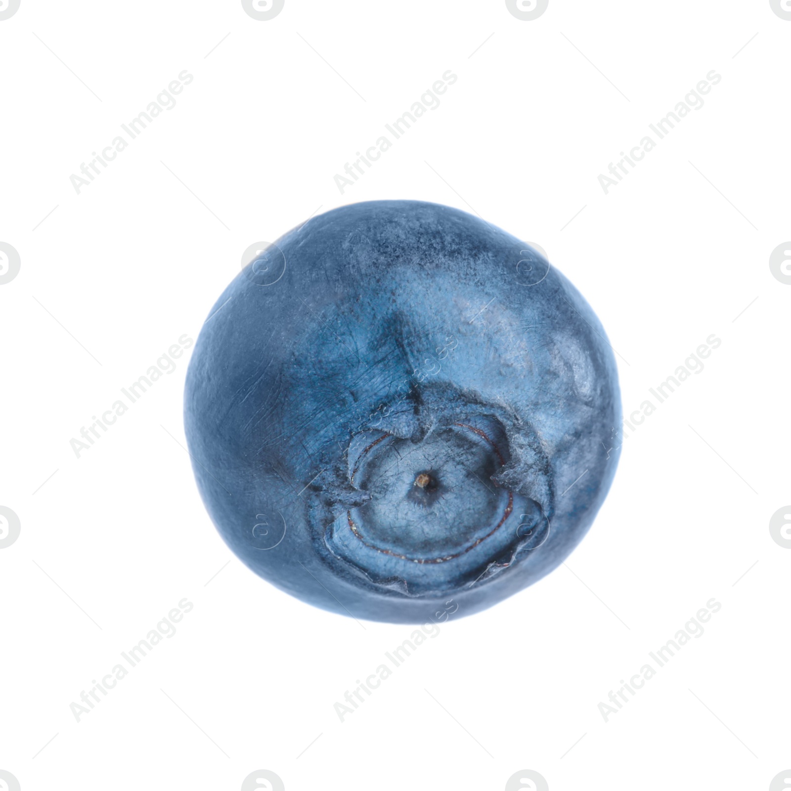 Photo of Fresh raw ripe blueberry isolated on white