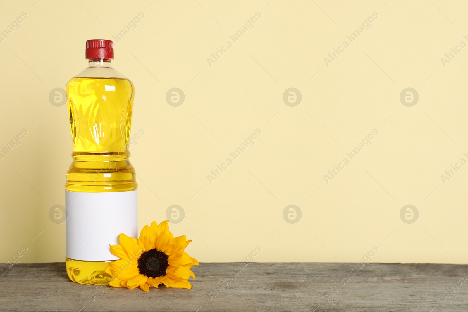 Photo of Bottle of cooking oil and sunflower on wooden table, space for text