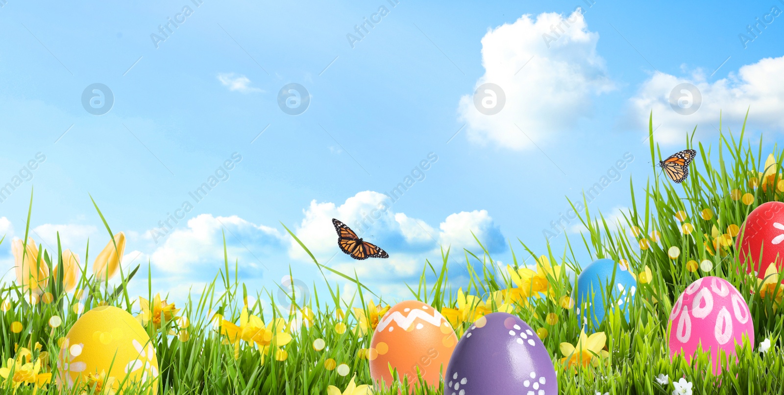 Image of Bright Easter eggs in green grass and butterflies against blue sky. Banner design