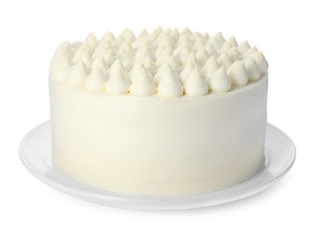 One delicious tiramisu cake isolated on white