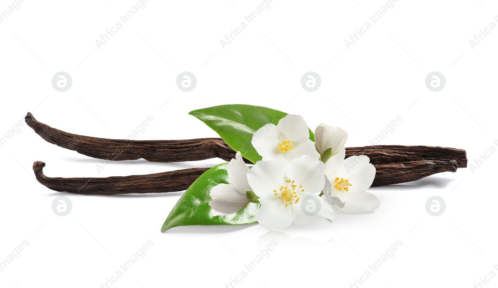 Image of Dried aromatic vanilla sticks, beautiful flowers and green leaves on white background