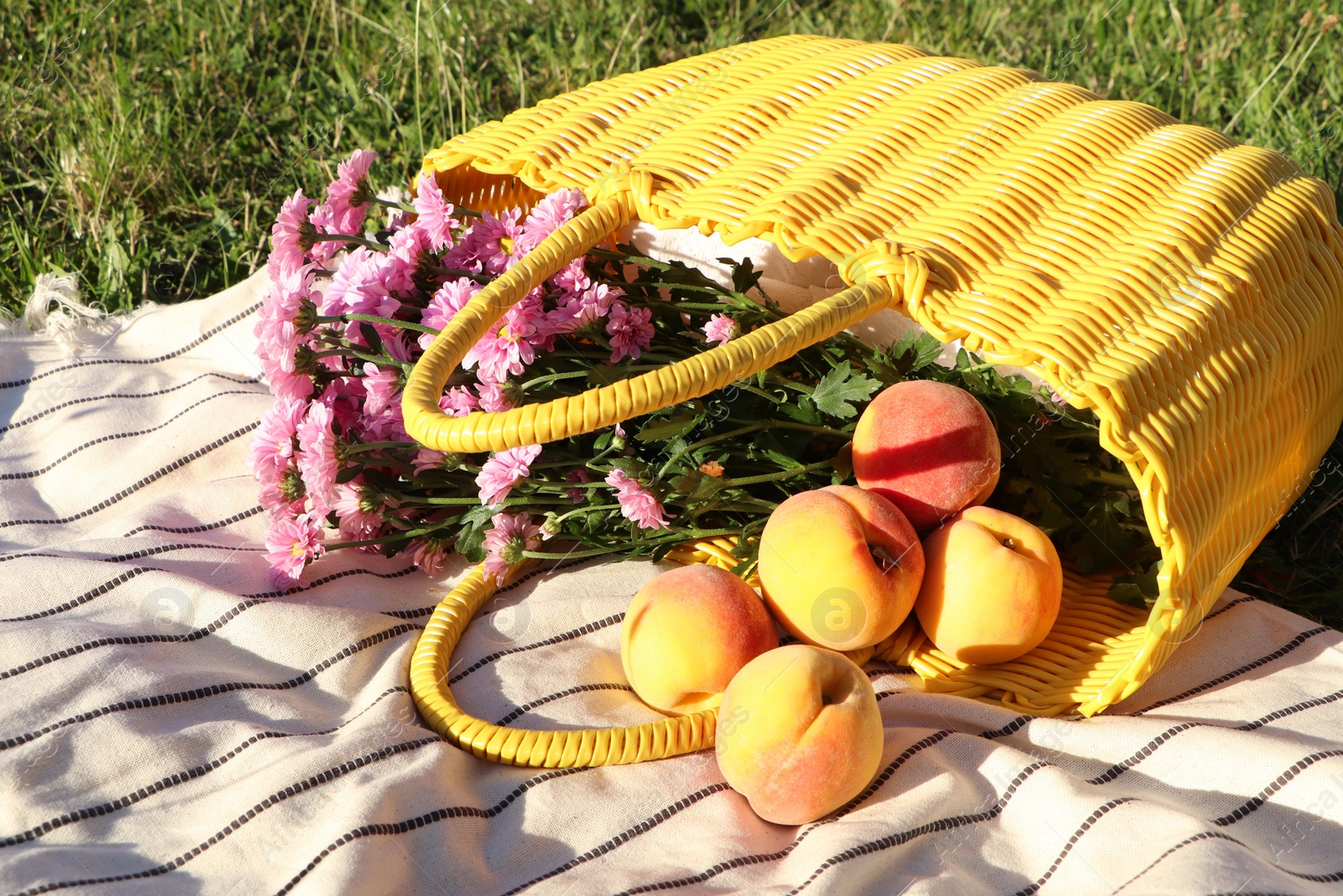 Photo of Yellow wicker bag with beautiful flowers and peaches on picnic blanket outdoors