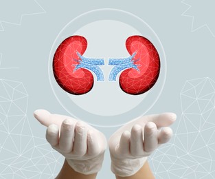 Closeup view of doctor and illustration of kidneys on light background