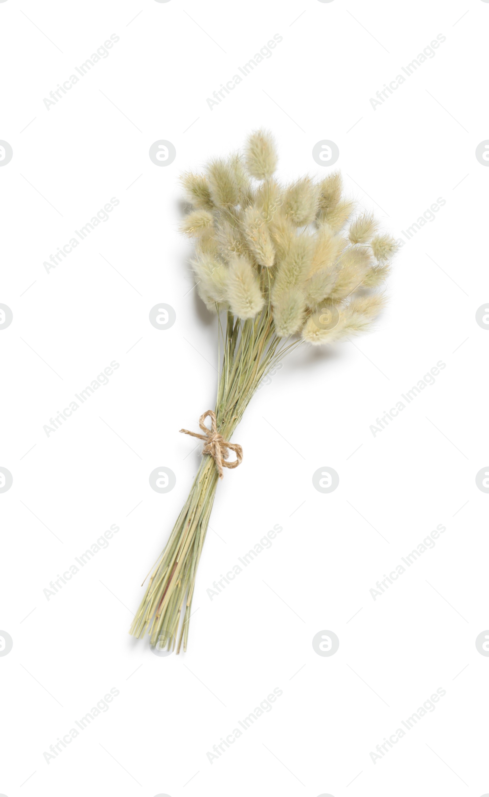 Photo of Bunch of beautiful dried flowers on white background, top view