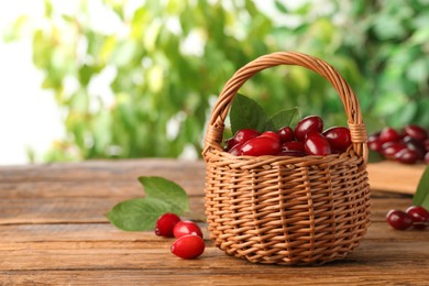 Photo of Fresh ripe dogwood berries with green leaves in wicker basket on wooden table, space for text
